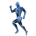 Ondas Magnéticas pulsantes Fibromialgia, artrosis, osteoporosis, lumbalgias, consolidación de fracturas, trocanteritis, prótesis de rodilla o cadera, contracturas,